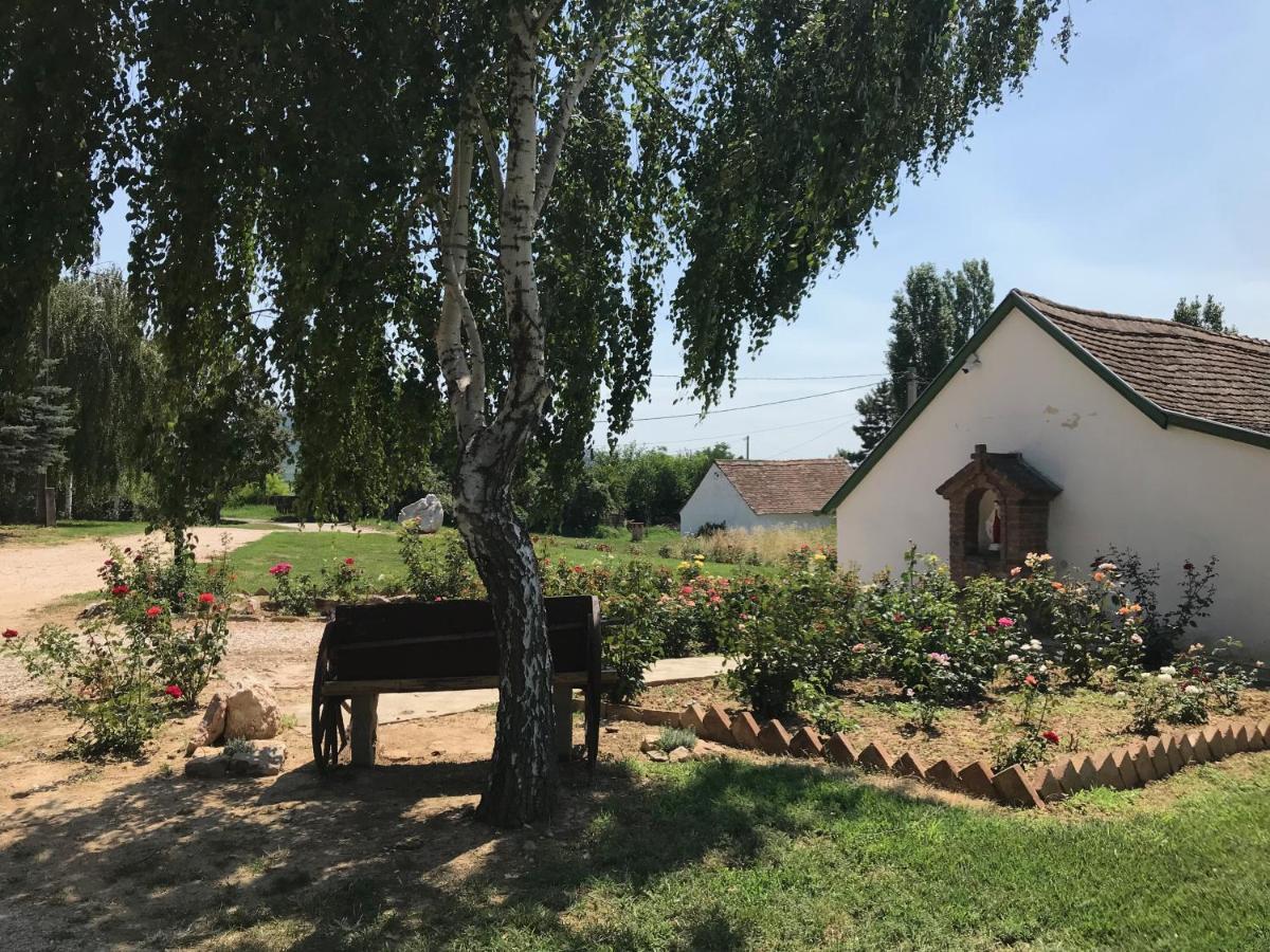 Ferienwohnung Joe Bacsi Rezidenciaja Kisharsány Exterior foto