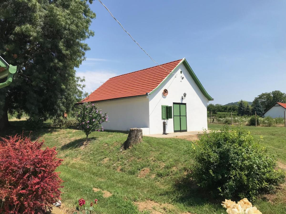 Ferienwohnung Joe Bacsi Rezidenciaja Kisharsány Exterior foto